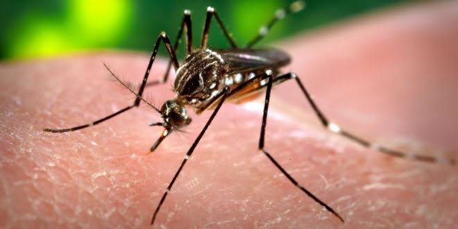  Dengue: vecinos de Balnearia protestaron por falta de información