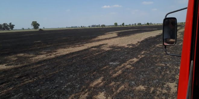 Bomberos sofocan incendio de 15 hectáreas en zona rural