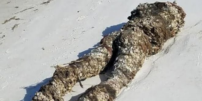 Misteriosa aparición de un «cadáver decapitado» en una playa