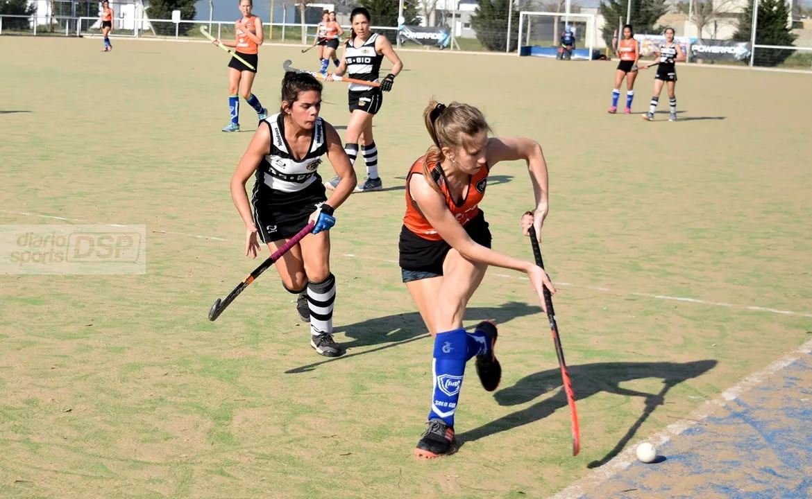 Antártida Argentina busca recuperarse