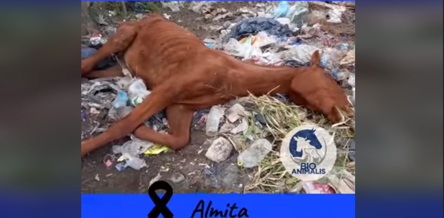 Sin título