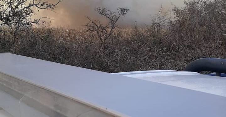 Incendio de campo: afectó 25 hectáreas de maíz sin cosechar y una cosechadora