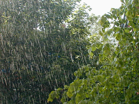 Daños causados por la tormenta en Devoto