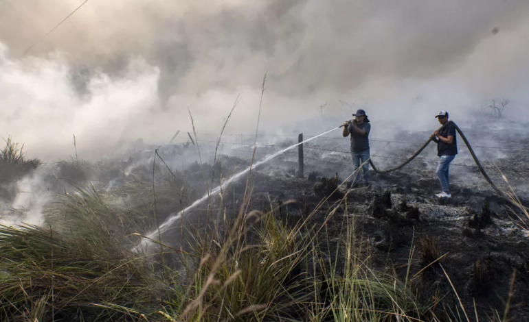  Corrientes: el 80% de los incendios está extinguido y se esperan tormentas
