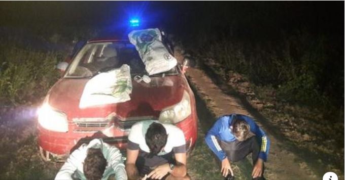 Tres jóvenes fueron detenidos mientras intentaban robar maíz