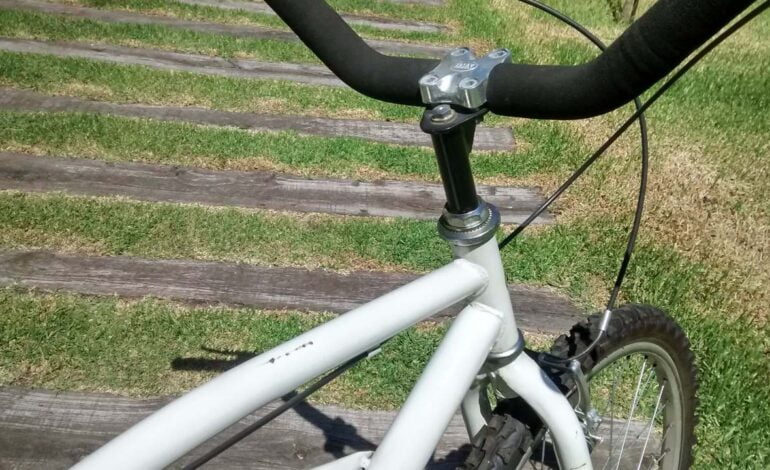Lo detuvieron tras robar una bicicleta