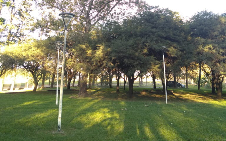 Bosquecillo de UTN San Francisco llevará el nombre «Héroes de Malvinas»