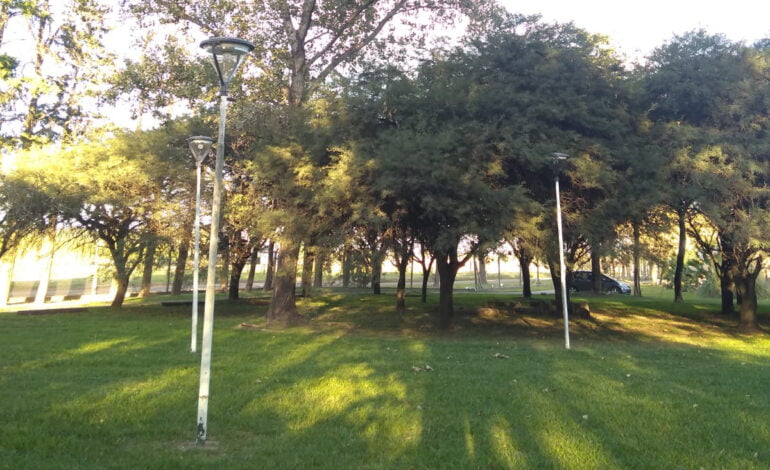  Bosquecillo de UTN San Francisco llevará el nombre «Héroes de Malvinas»