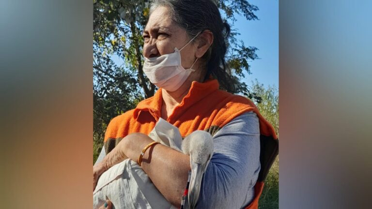 AMAD y el rescate: «Estos meses han sido muy duros para los flamencos»