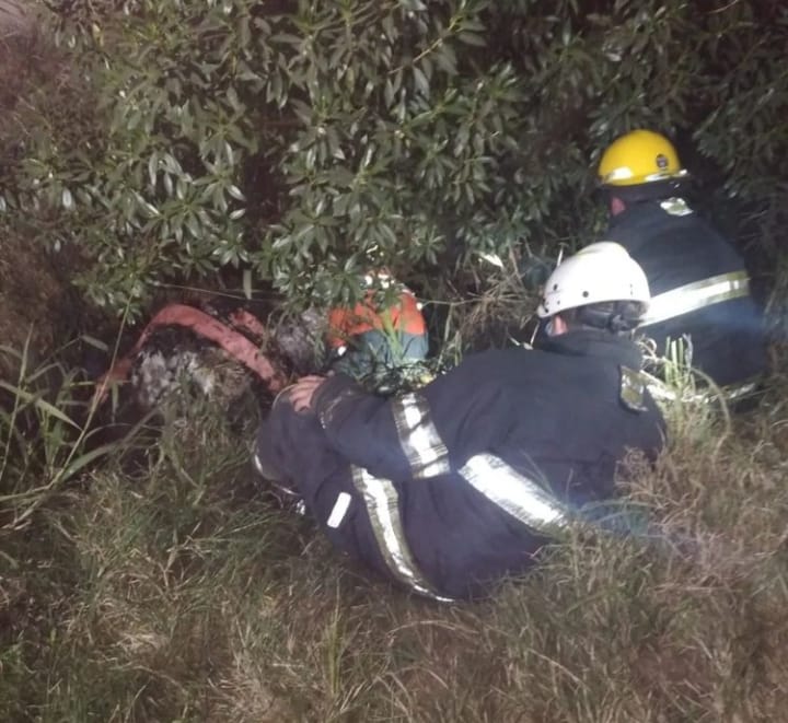 Bomberos rescataron un caballo que se había caído a un canal