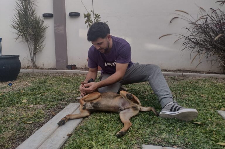 21 adopciones, 21 actos de amor