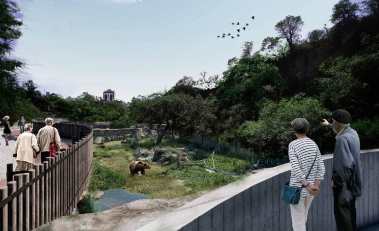 Parque de la Biodiversidad: comienzan obras de un nuevo ambiente para osos