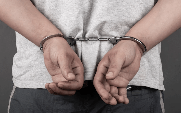 Hombre con pedido de captura fue detenido