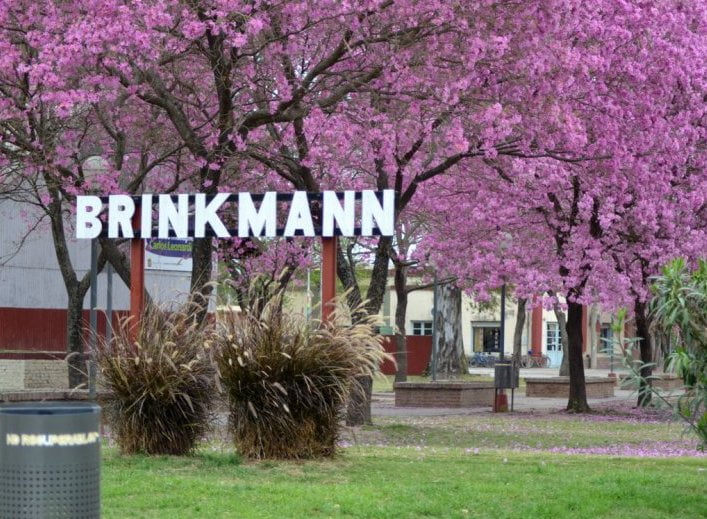 11109 brinkmann