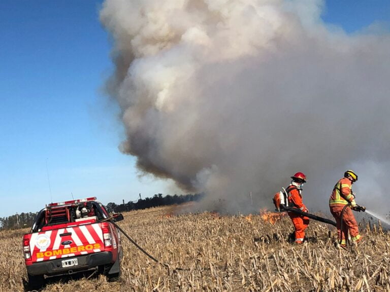 Se produjo un incendio de gran magnitud en cercanías del Aeroclub