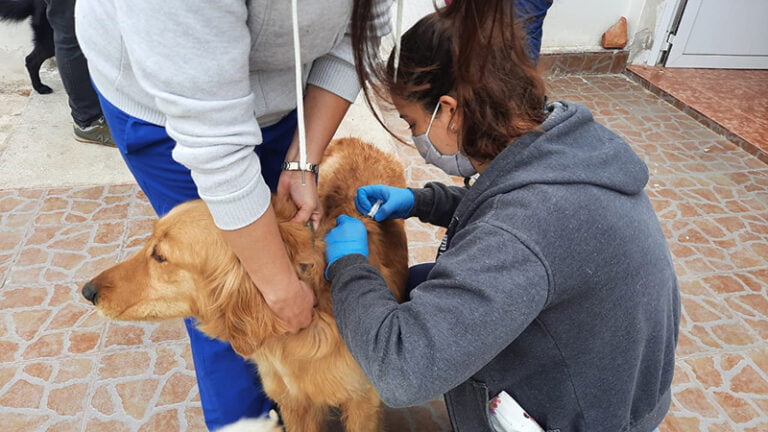El Móvil Quirúrgico Municipal sigue recorriendo los barrios