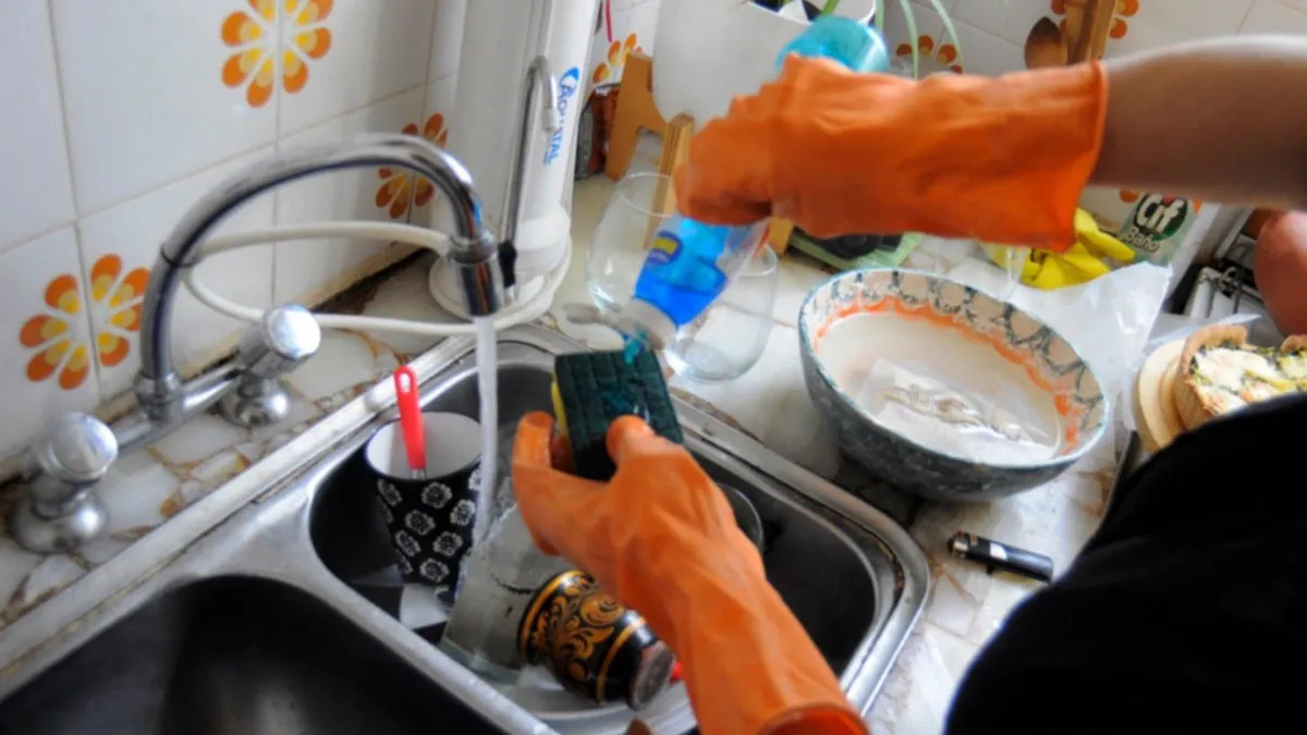 EMPLEADAS DOMESTICAS