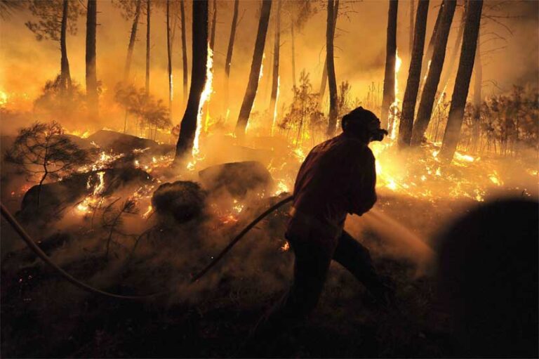 18 de agosto: Día Mundial de la Prevención de Incendios Forestales