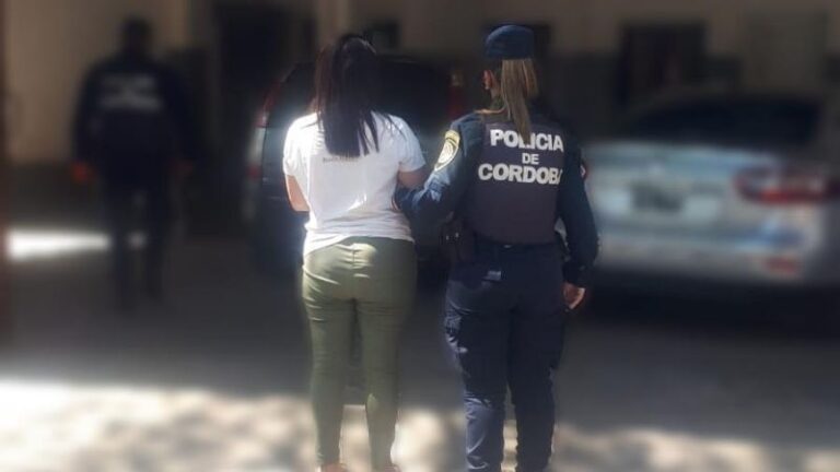 Por un robo, detuvieron a una mujer en un allanamiento