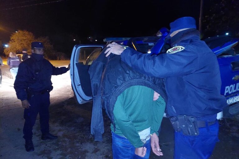 Detenidos por ocasionar daños en propiedades