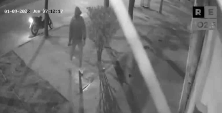 Un rompevidrieras robó en una heladería