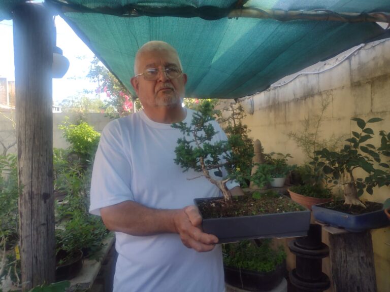 Juan y el arte milenario del bonsái