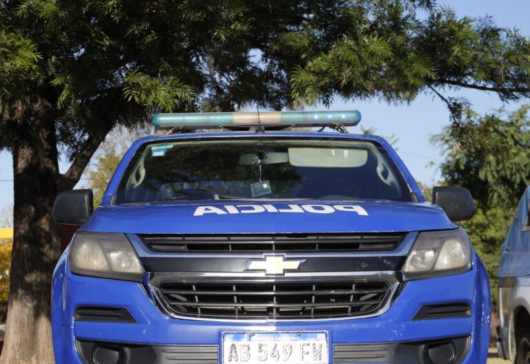 Insólito: intentaron robarle su mascota mientras caminaba