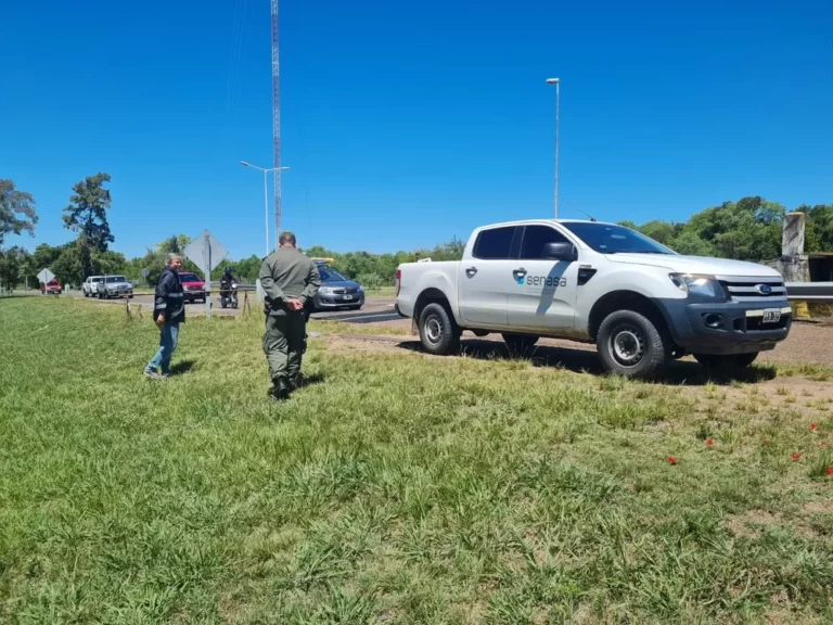 Confirman el primer caso de gripe aviar en la provincia de Santa Fe
