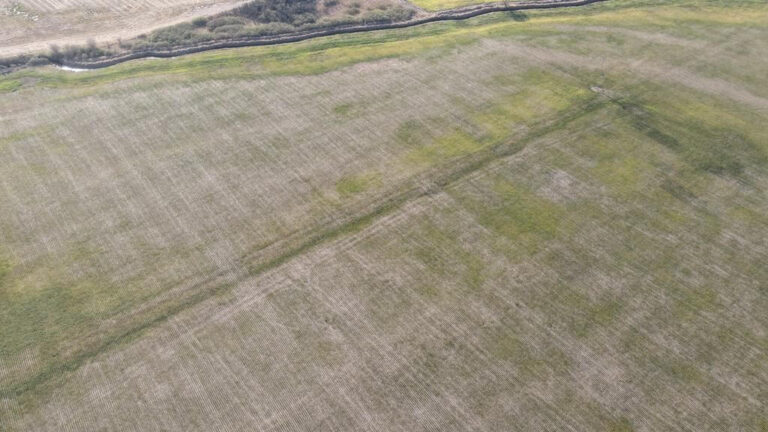 Declararán en emergencia agropecuaria a más de 800.000 hectáreasque incluyen a San Francisco
