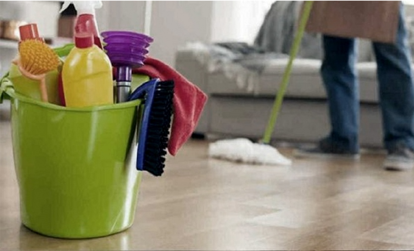 Domesticas