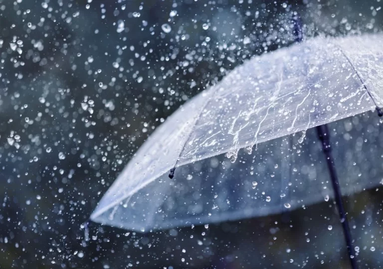 Con el otoño, llegó la lluvia a la ciudad: ¿Cómo sigue el tiempo?