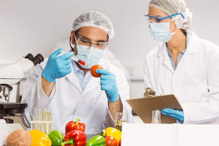 Descubre la bromatologia la ciencia de los alimentos