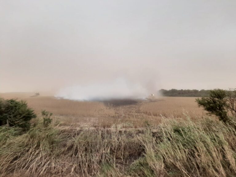 Incendio rural en La Tordilla