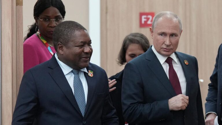 Putin enviará granos gratis a seis países africanos