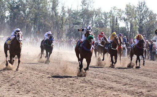 Hipodromo de San Francisco