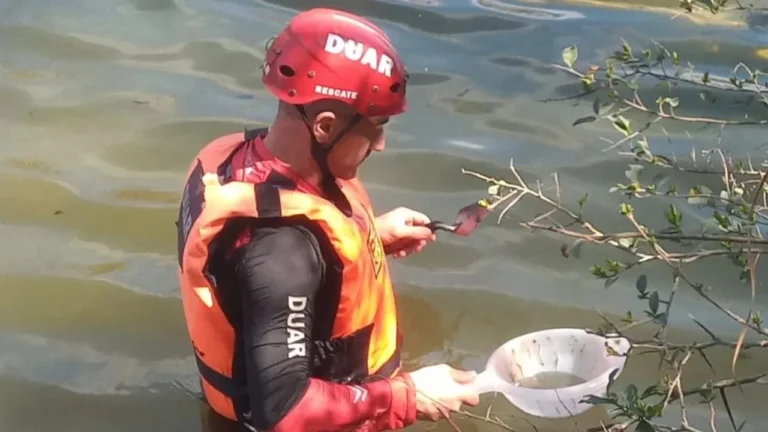 Hallaron restos de siete cráneos humanos en el río San Antonio