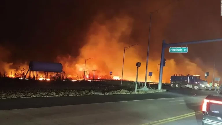 Suman 36 los muertos por los incendios forestales en Hawái
