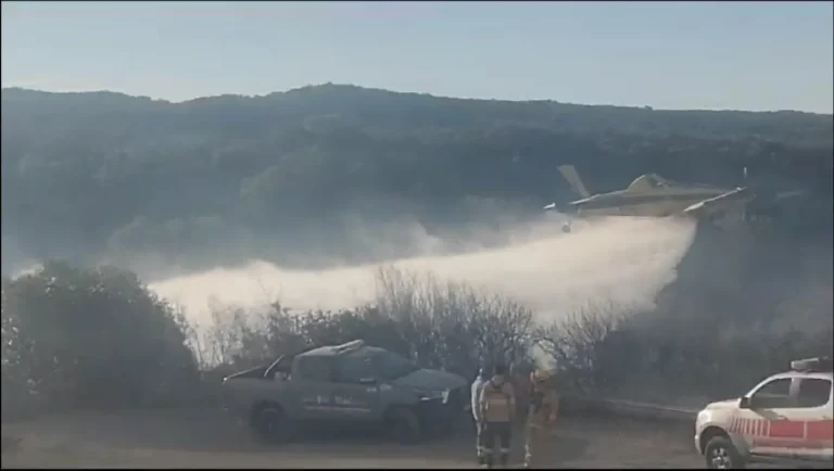 Bomberos lograron contener un incendio en la zona de Sierras Chicas Córdoba