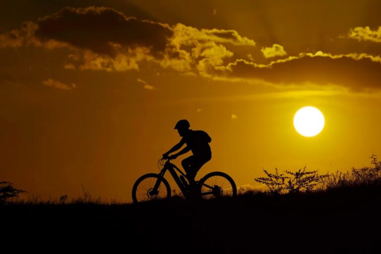 La mitad de la población mundial experimentó al menos 30 días seguidos de temperaturas extremas