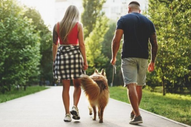 Se autoperciben como perros y reclaman ser reconocidos como animales