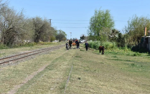 La Municipalidad de Frontera secuestraron caballos sueltos