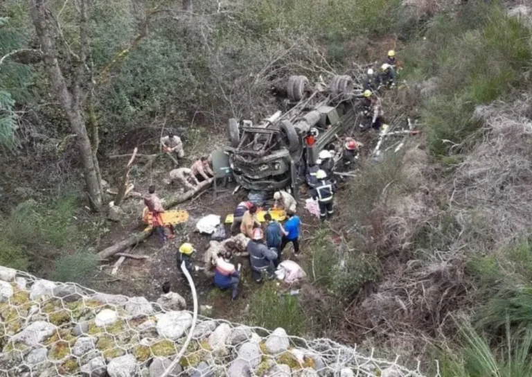 El Gobierno decretó duelo nacional tras la muerte de 4 soldados en Neuquén