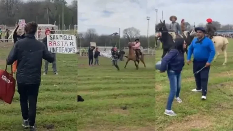 Atacaron a mujeres activistas que protestaban contra el maltrato animal