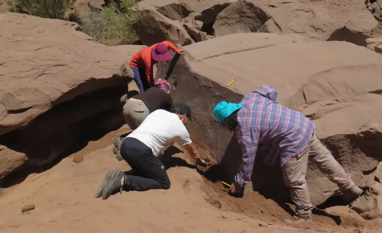 Científicos del Conicet revelan fauna prehistórica a partir de huellas fósiles