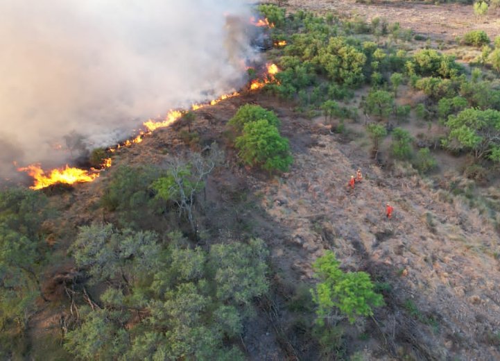 22651 incendio campos7