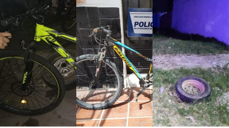 Recuperaron varios elementos que habían sido robados
