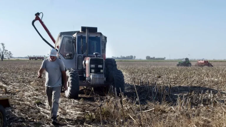 Extienden hasta fines de febrero la emergencia agropecuaria en Córdoba
