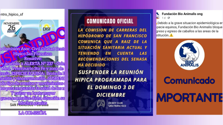 Suspenden actividades con equinos por emergencia sanitaria