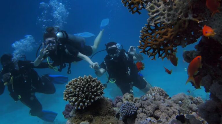 Conmoción en Bali: una turista murió mientras realizaba una expedición de buceo en la playa