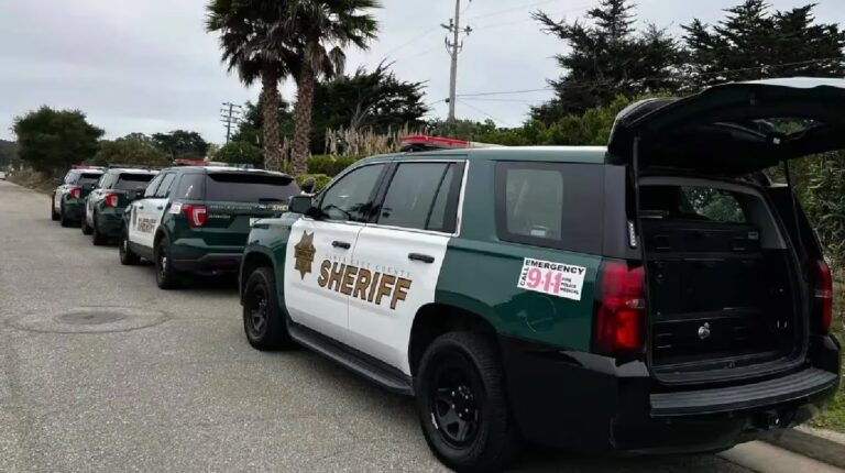 California: un nene de cinco años mató a su hermano gemelo de una puñalada
